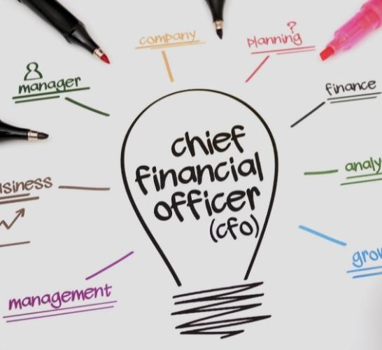 Startup Valuation & Advisory